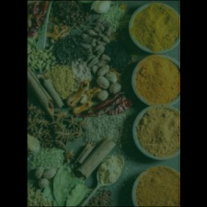 masala_original_copy_1